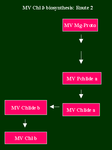 Chlb2Route2.GIF - 3.95 K