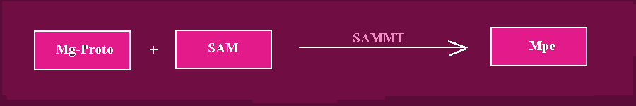 SAMMT2.gif - 3.5 K