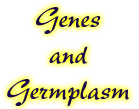 Genes and Germplasm