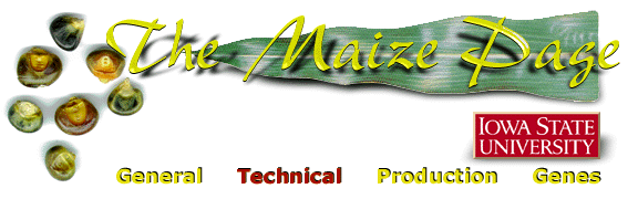 Banner for the Maize Page Technical Information Section